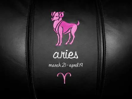 Aries Pink Logo Panel