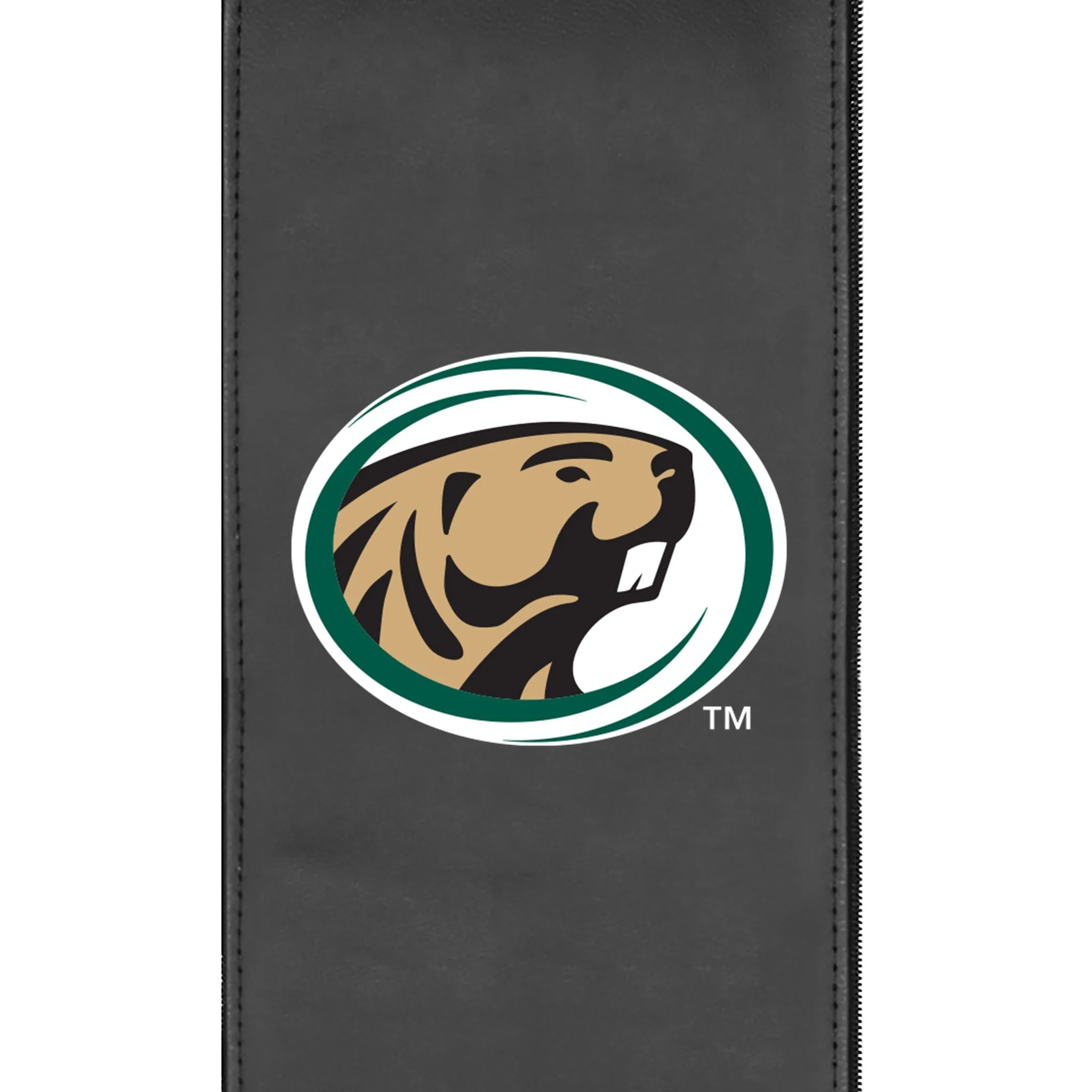 Bemidji State University Primary Logo Panel