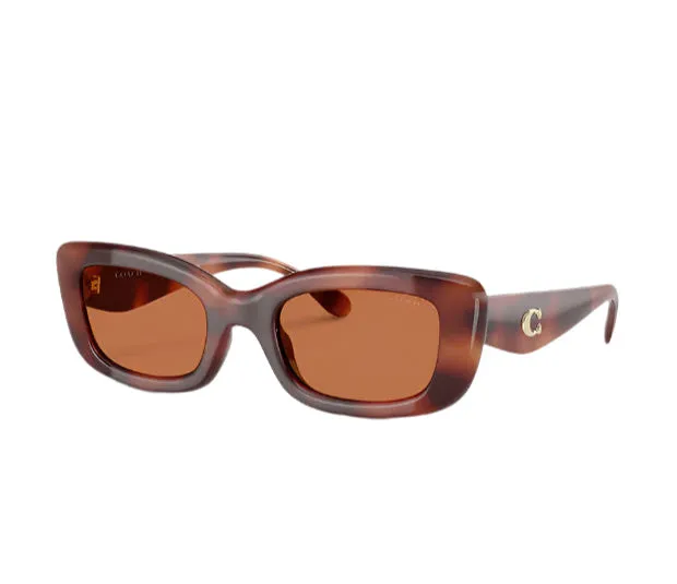 Coach Women's 51mm Caramel Tortoise Sunglasses HC8390U-577473-51