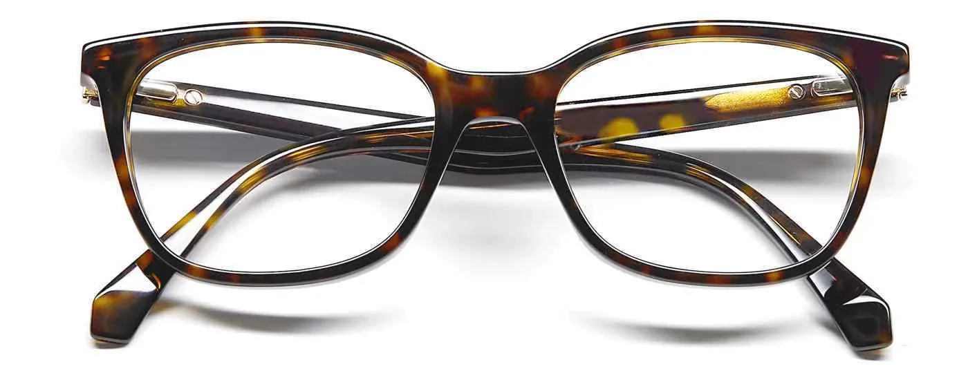 Polaroid D423 Eyeglasses