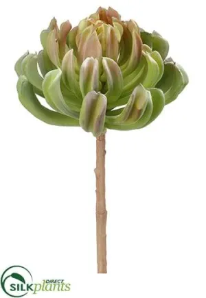 Silk Plants Direct Aeonium Spray - Green - Pack of 4