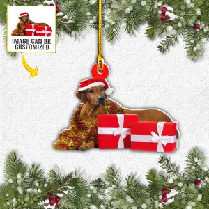 Teesdily | Rhodesian Ridgeback Christmas Gift Box Customized Photo Car Pendant Hanging Personalized Photo Ornaments 2 Sided Dog Owner Gift Ideas