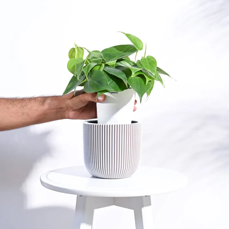 UGAOO Planter Ball Groove - Ivory